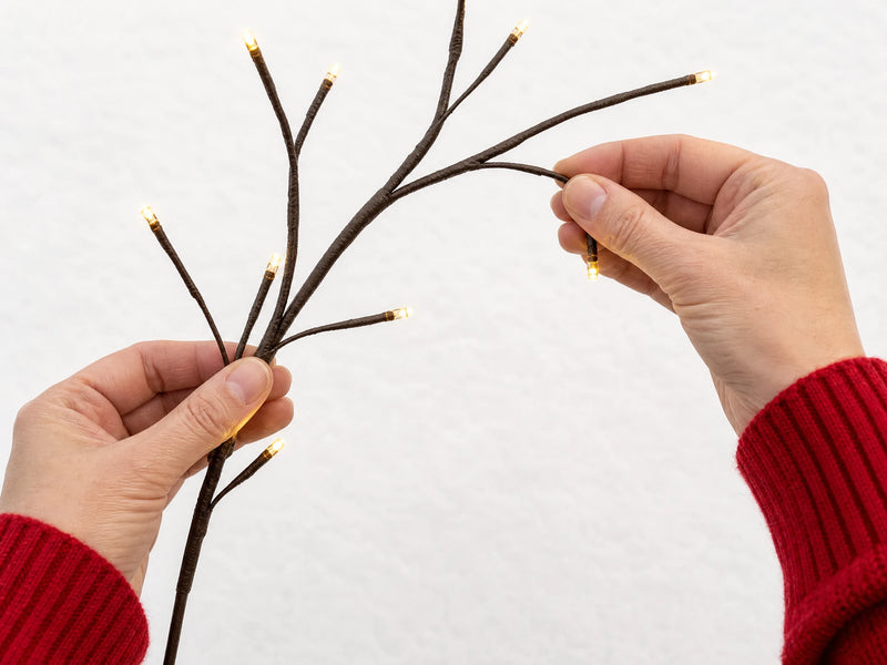 Hands gently adjusting a flexible twig on the vine