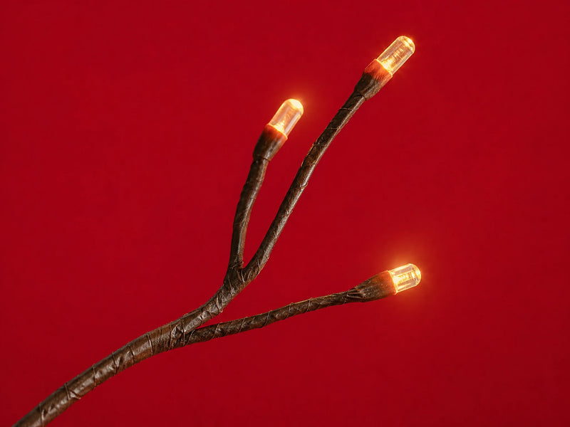 Close detail of small warm-white light points on the brown branches