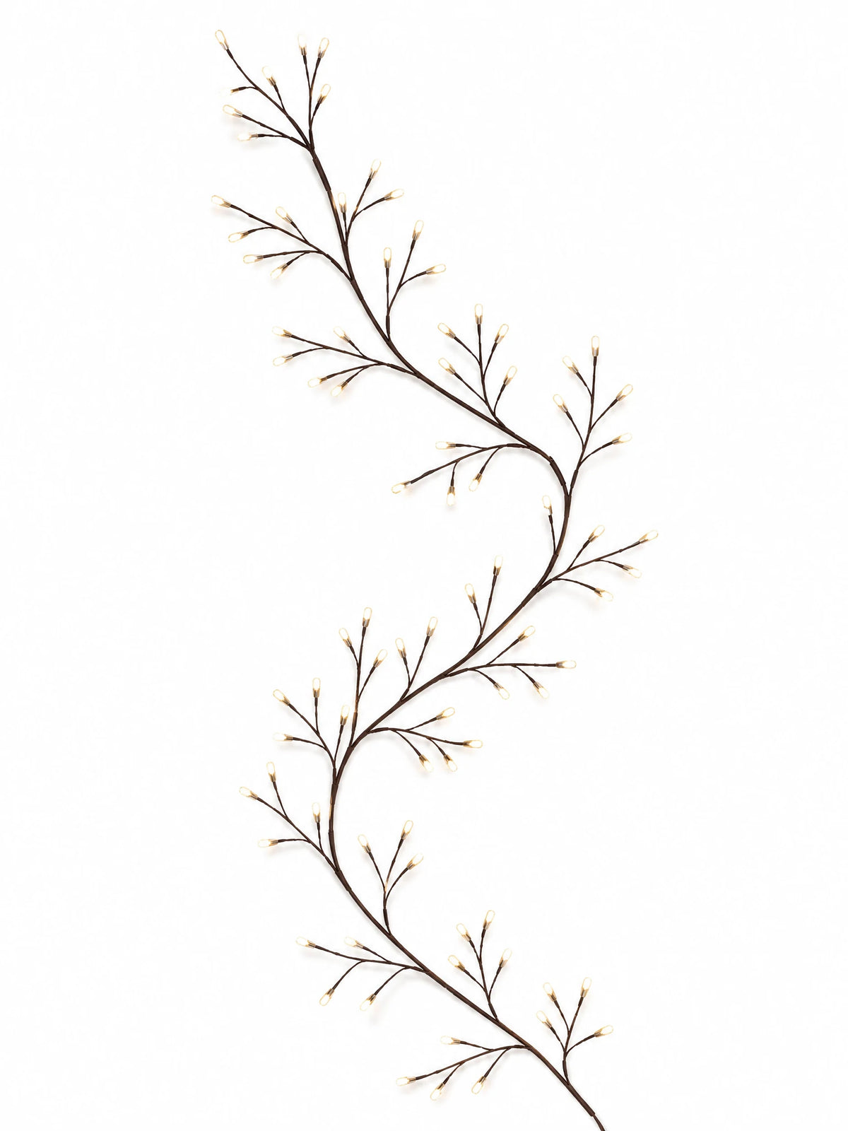 The brown lighted vine arranged in a gentle curve, showing the branching silhouette